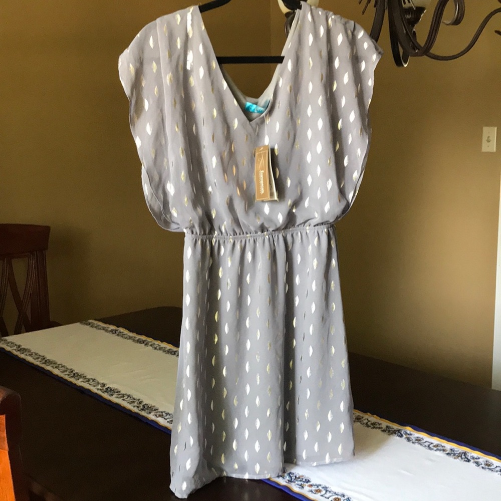 NWT Francesca’s Collection  dress